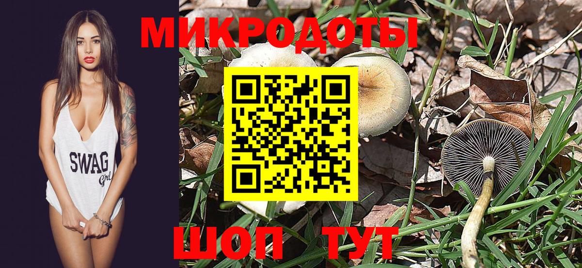 Кашира  Псилоцибиновые грибы MAGIC MUSHROOMS  Вход с VPN  Псилоцибиновые грибы Magic Shrooms 