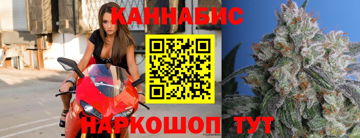 Канабис тримм  Конопля OG Kush  Бошки марихуана план  Вход с VPN  Кашира 